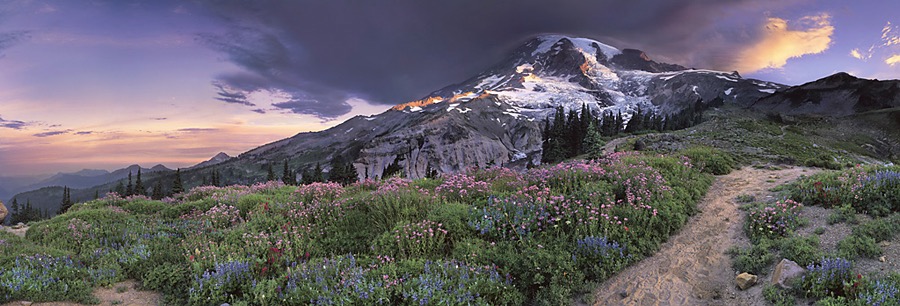 Panoramic_Professional_1st_place_Bob_Kim