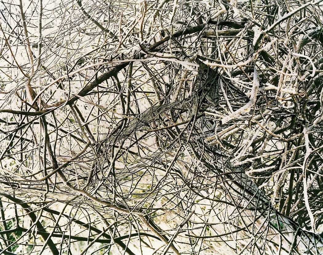 laura-plageman-coneptual-landscapes-04