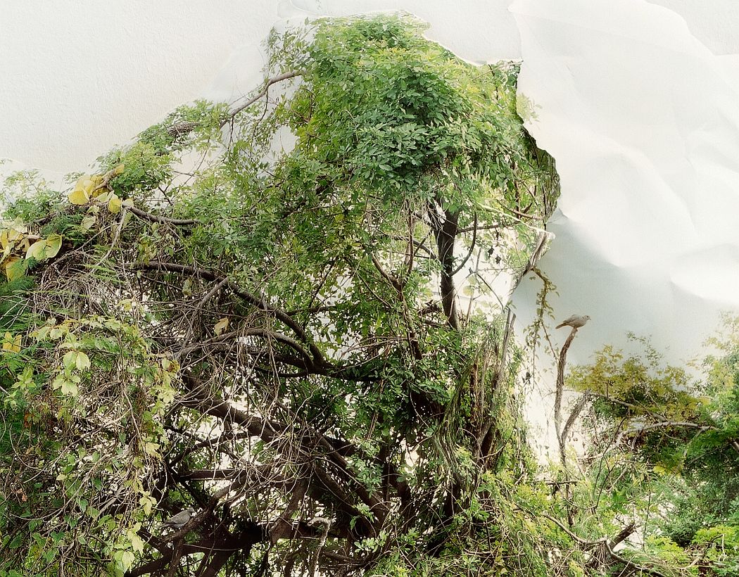 laura-plageman-coneptual-landscapes-12