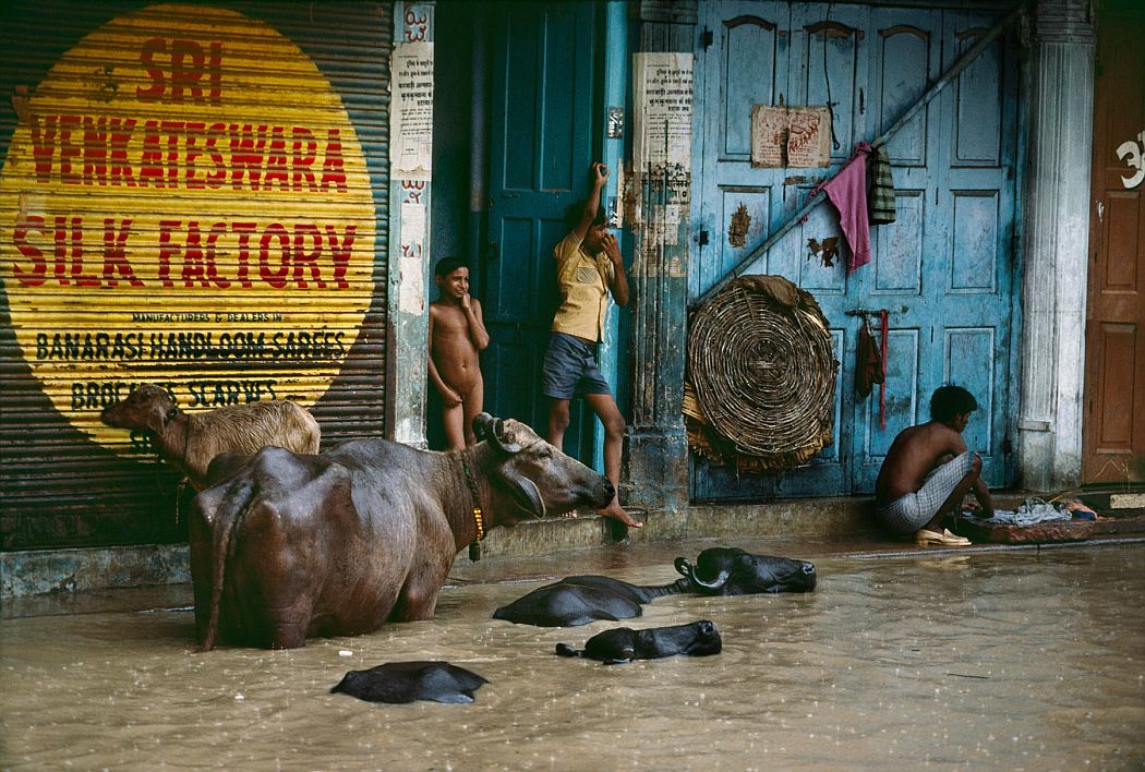 © Steve McCurry: India