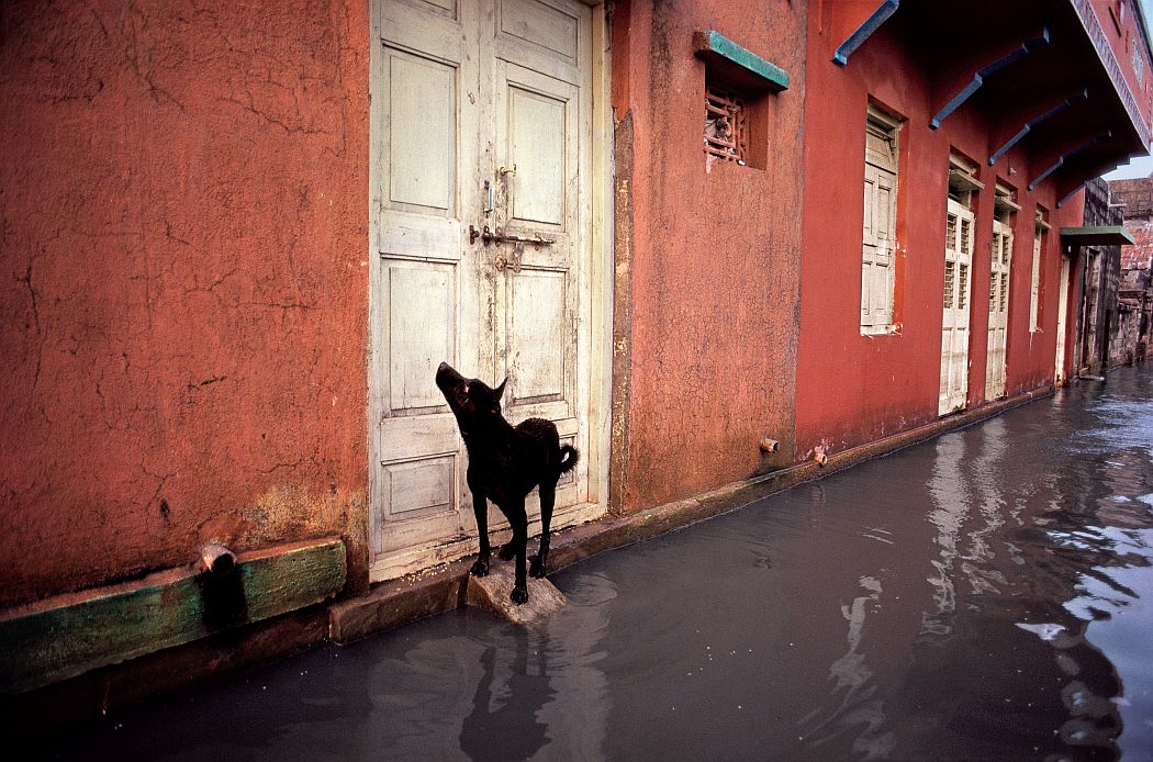 © Steve McCurry: India