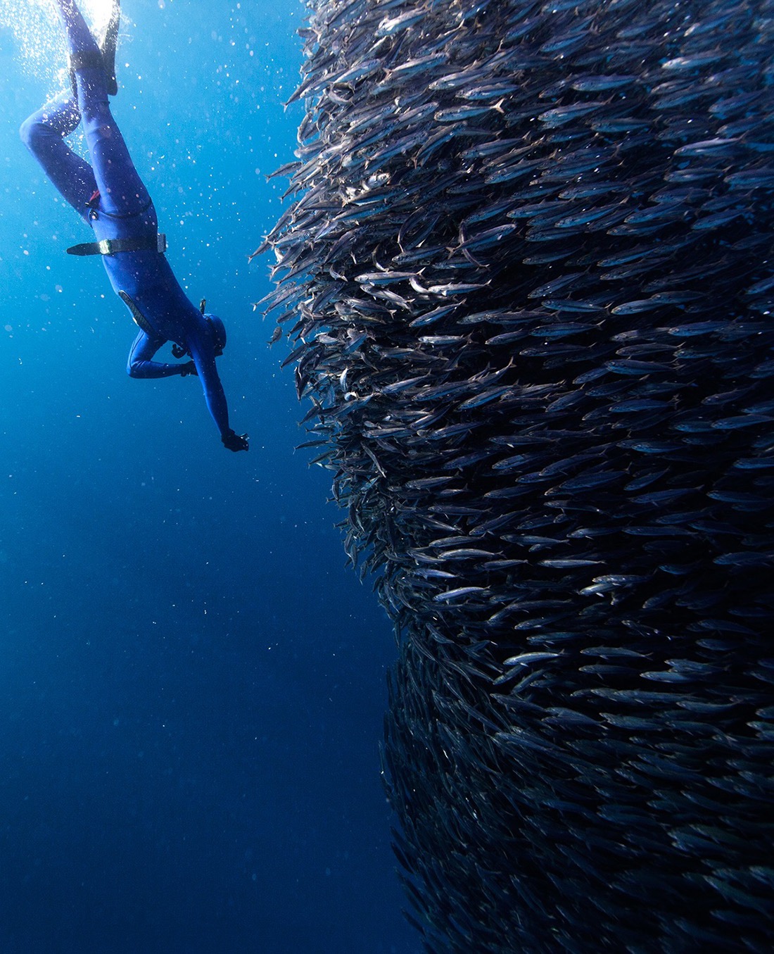 © Jorge Cervera Hauser