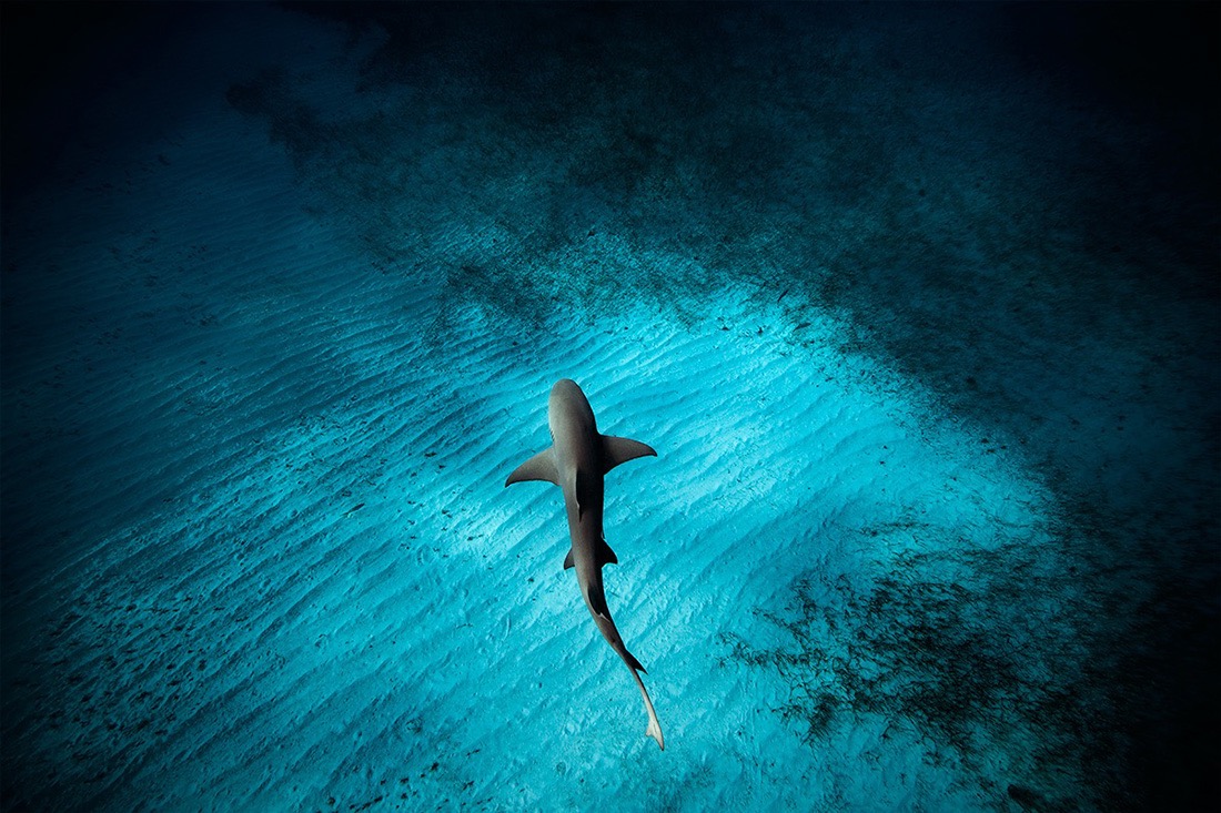 © Jorge Cervera Hauser