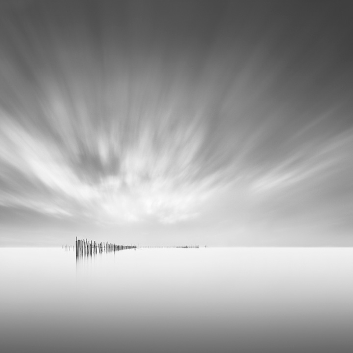 © Michael Levin