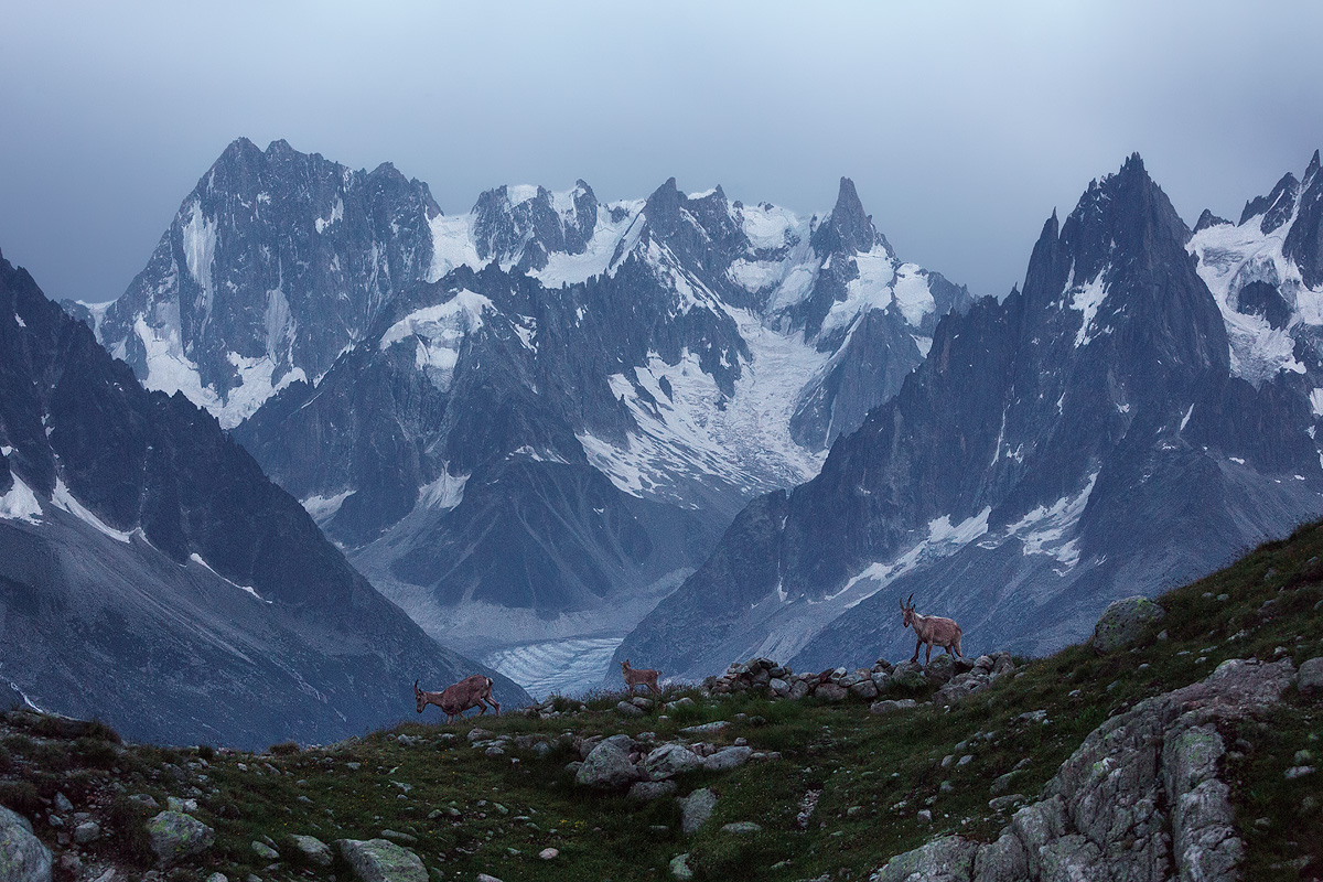 French Alps © Lukas Furlan
