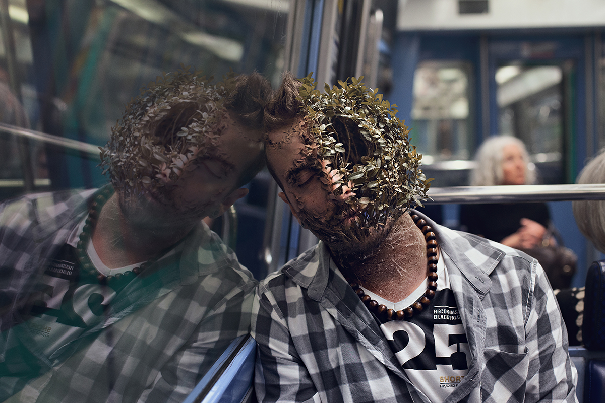 © Cal Redback