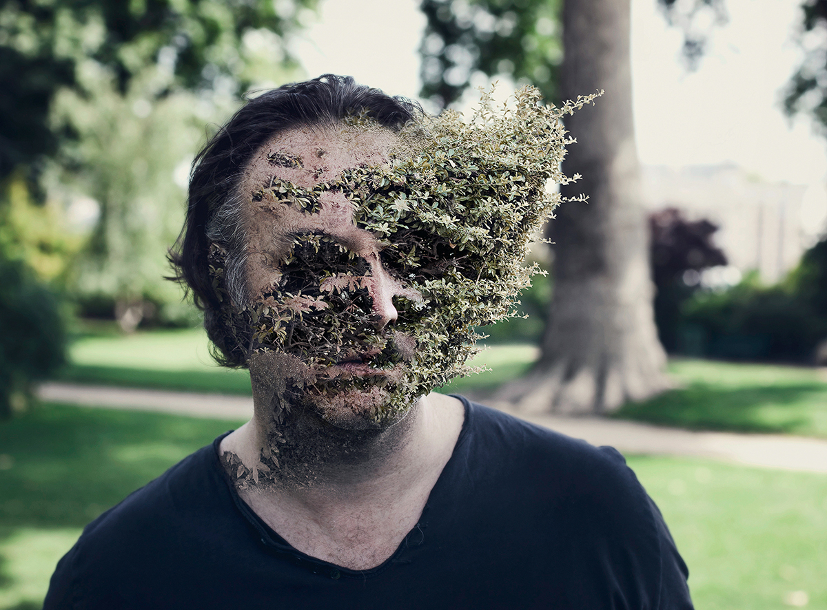 © Cal Redback