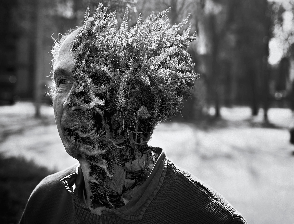 © Cal Redback