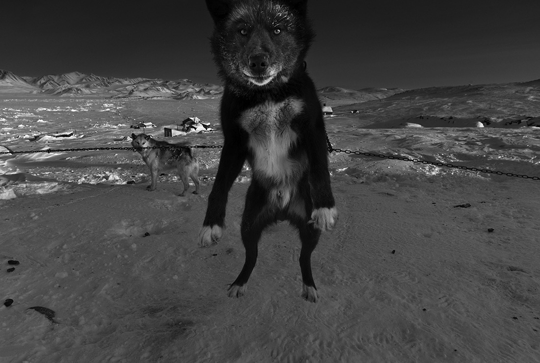 © Ragnar Axelsson