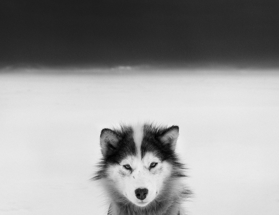 © Ragnar Axelsson