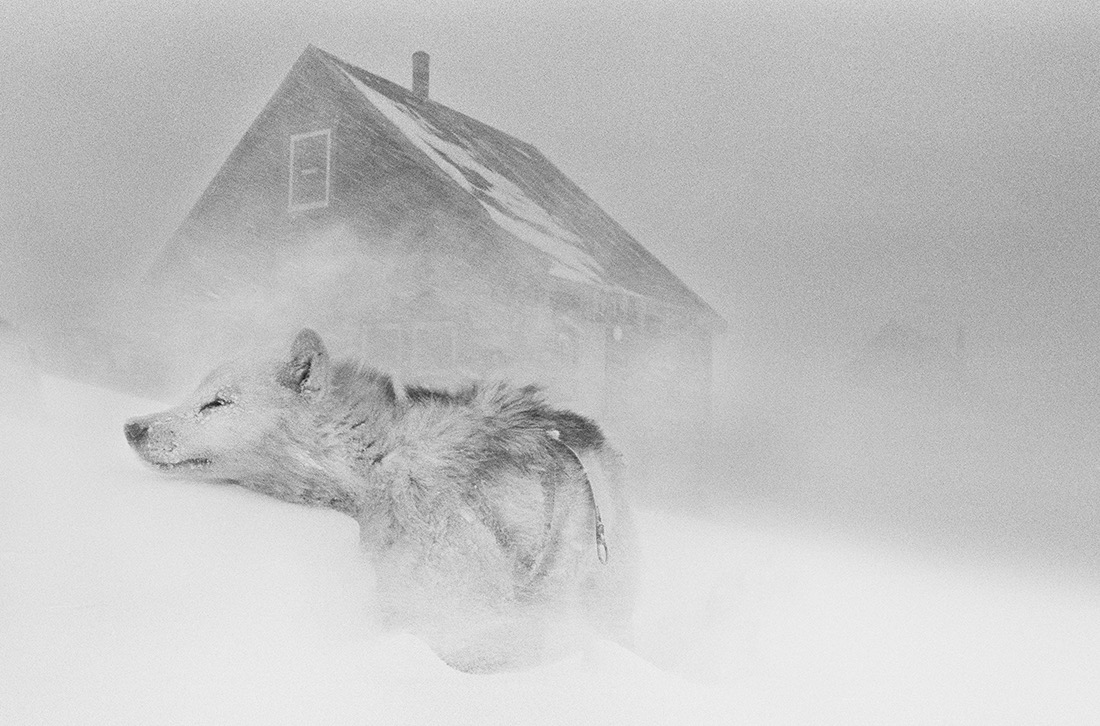 © Ragnar Axelsson