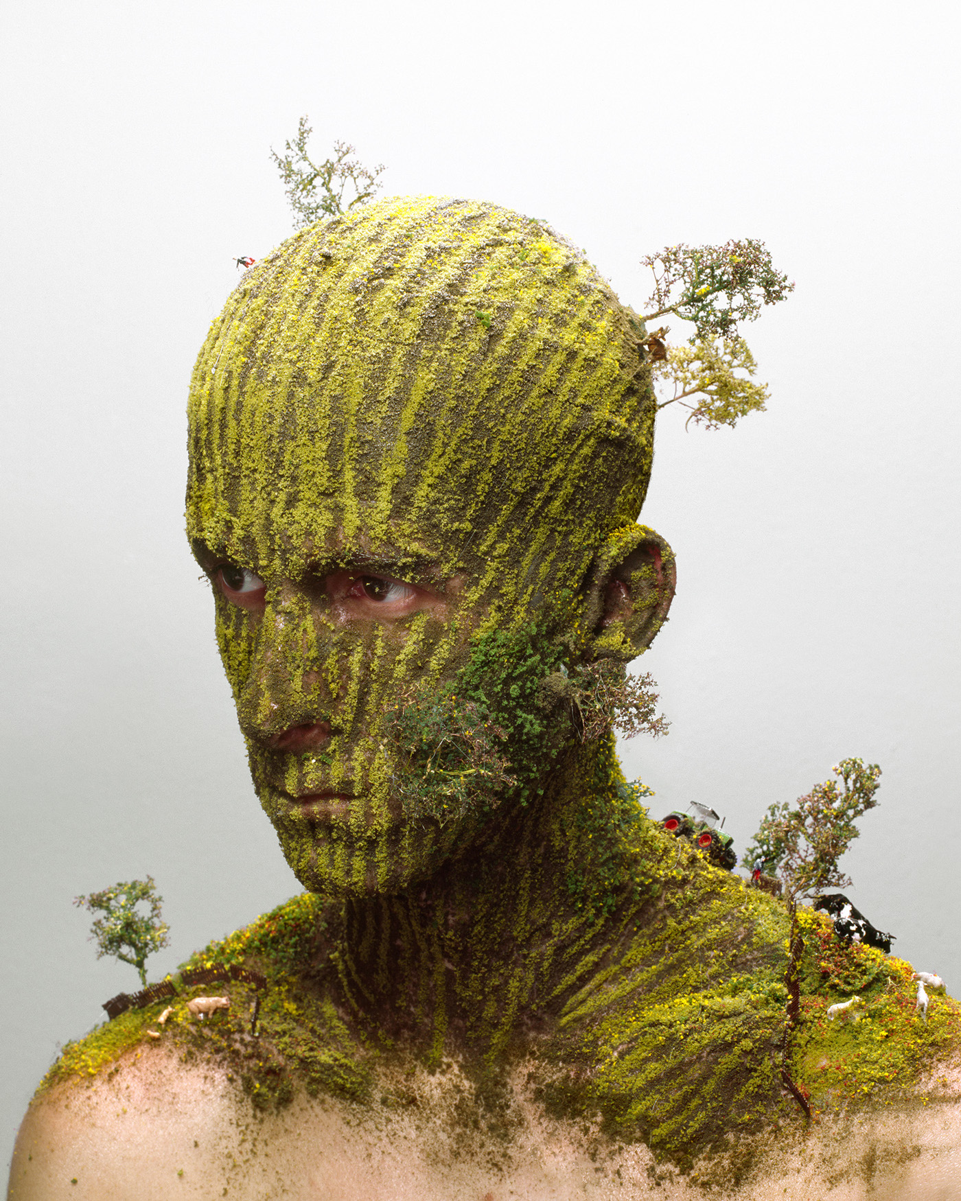© Levi van Veluw