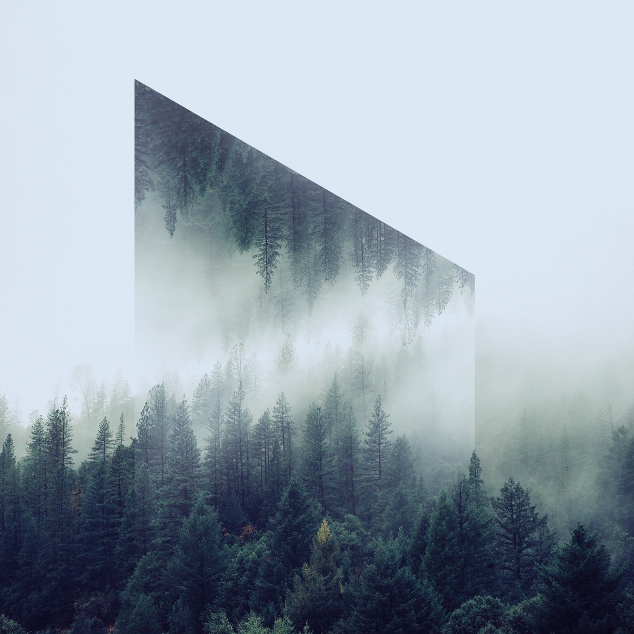 © Victoria Siemer