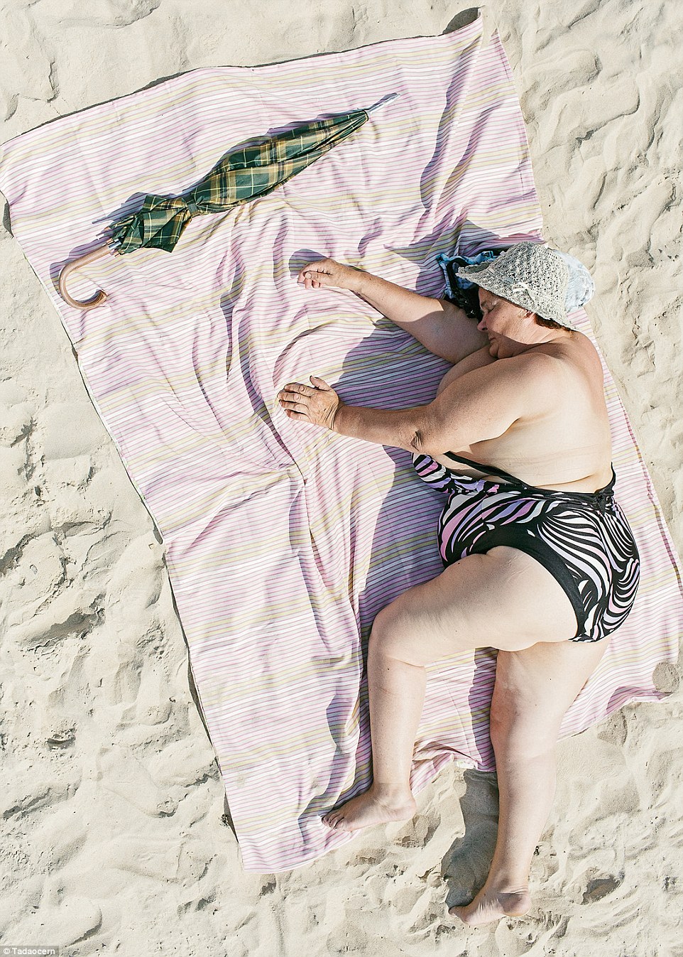 The Comfort Zone © Tadao Cern