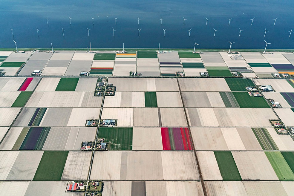 Tulip Fields © Bernhard Lang