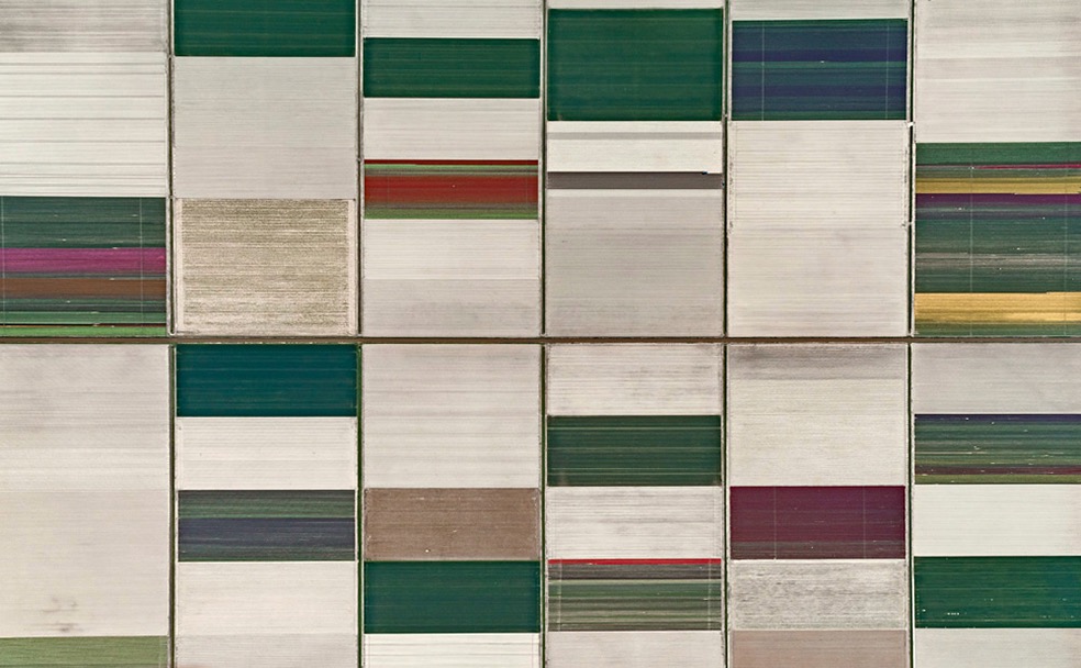 Tulip Fields © Bernhard Lang