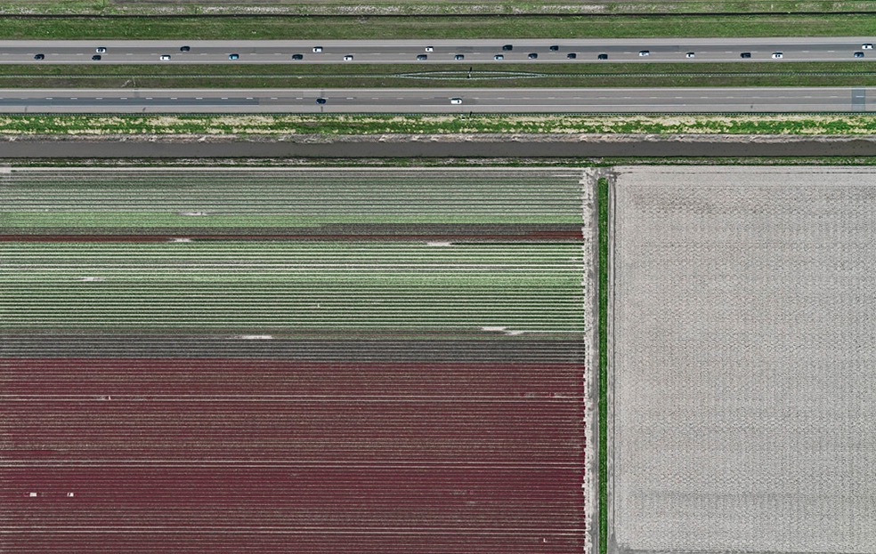 Tulip Fields © Bernhard Lang