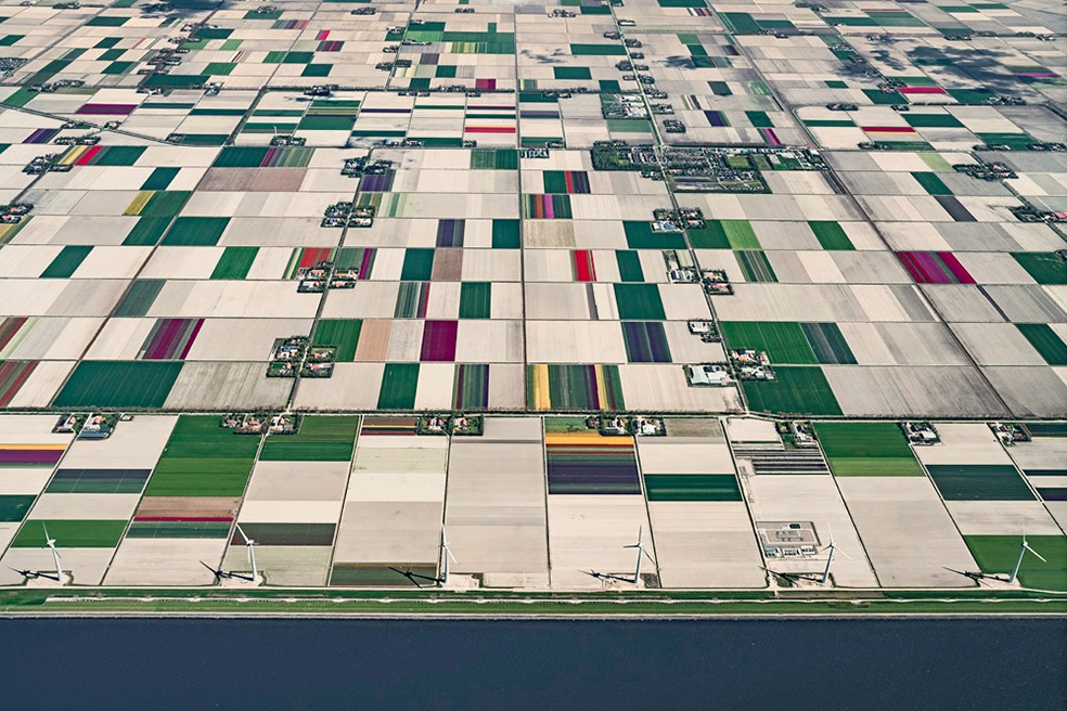 Tulip Fields © Bernhard Lang