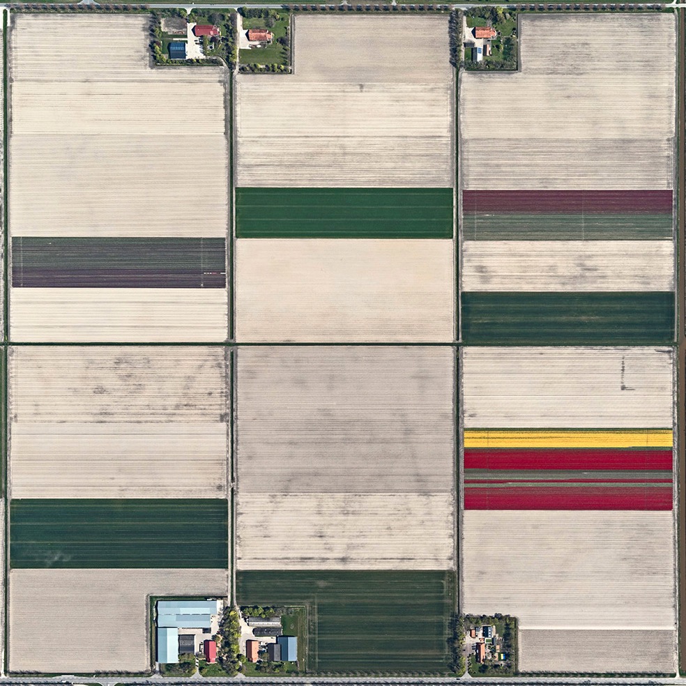 Tulip Fields © Bernhard Lang