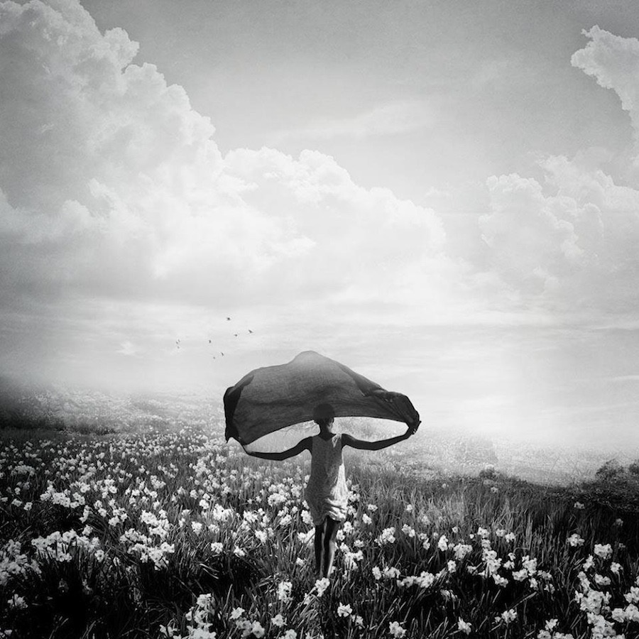 Finally free by Adeline Spengler