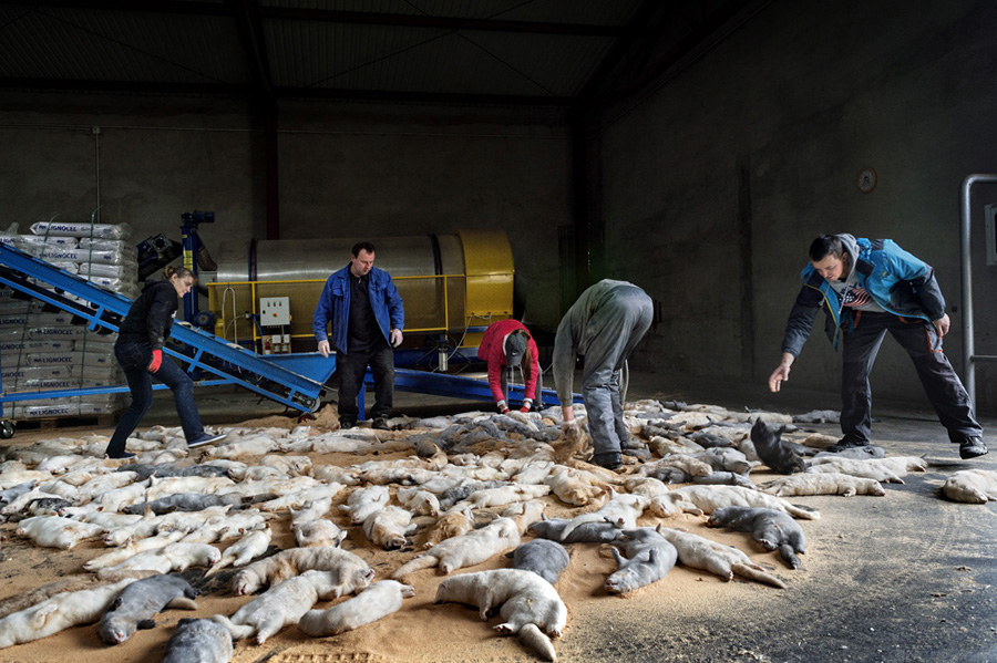 Photojournalism - Professional - 1st Place - Paolo Marchetti