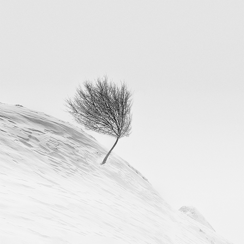 © Vassilis Tangoulis