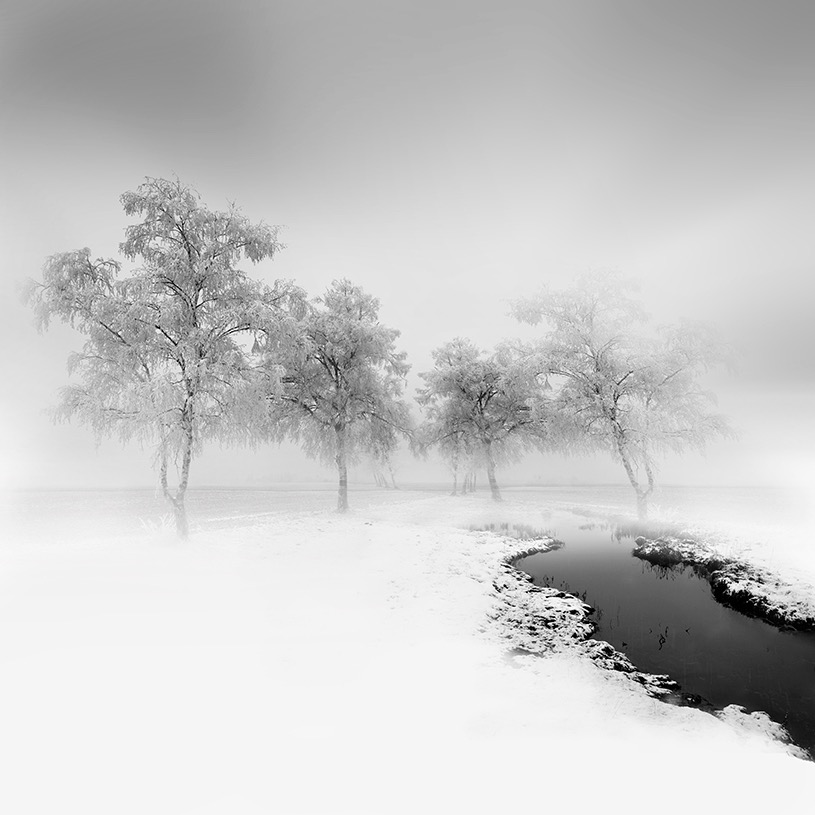 © Vassilis Tangoulis