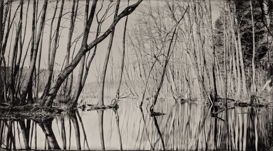 Wet Plate Collodion Landscape by Christian Klant