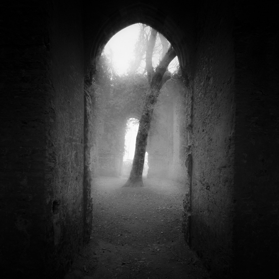 Within by Darren Moore