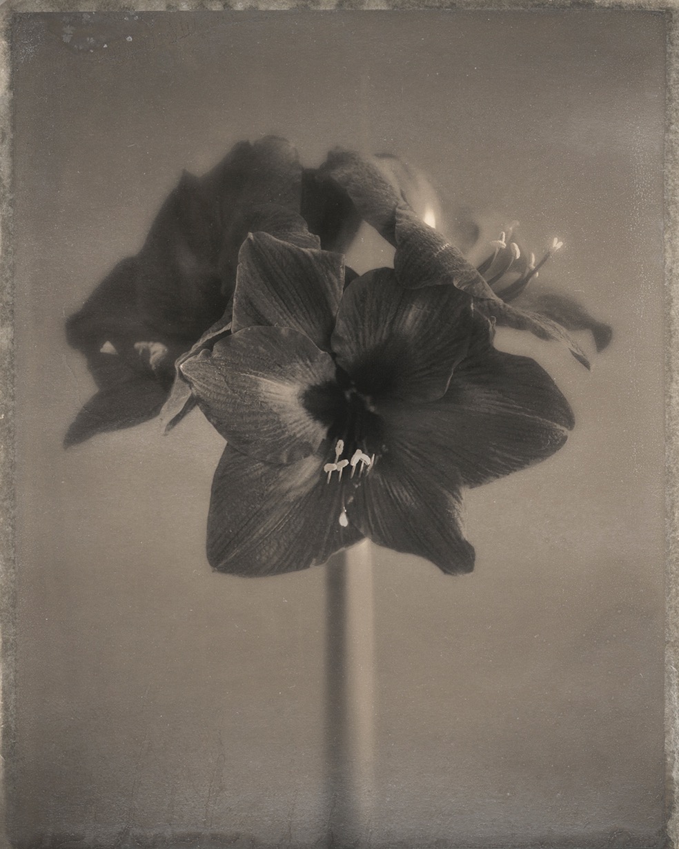 Duo-Chromatics © Pete Hollow