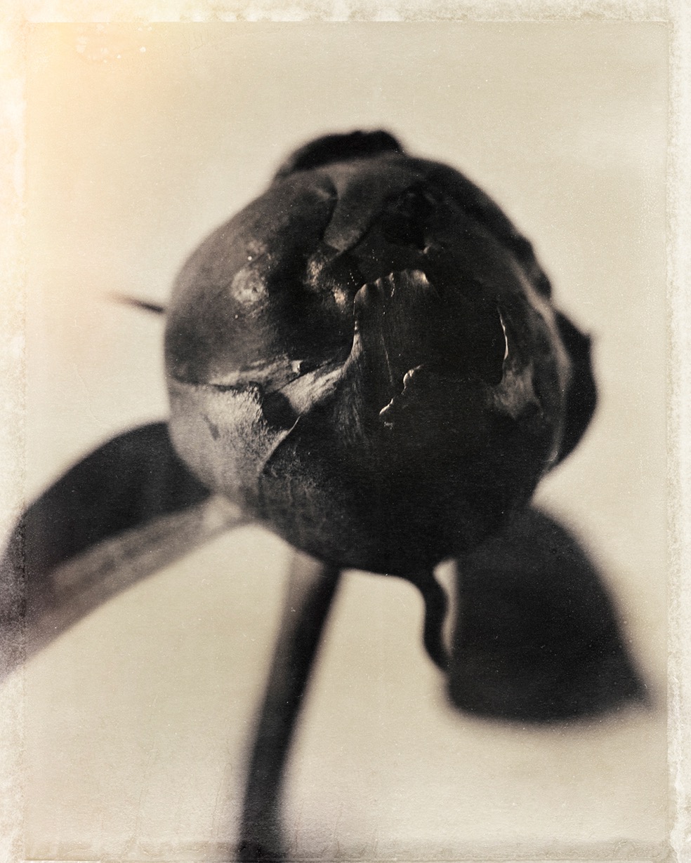 Duo-Chromatics © Pete Hollow