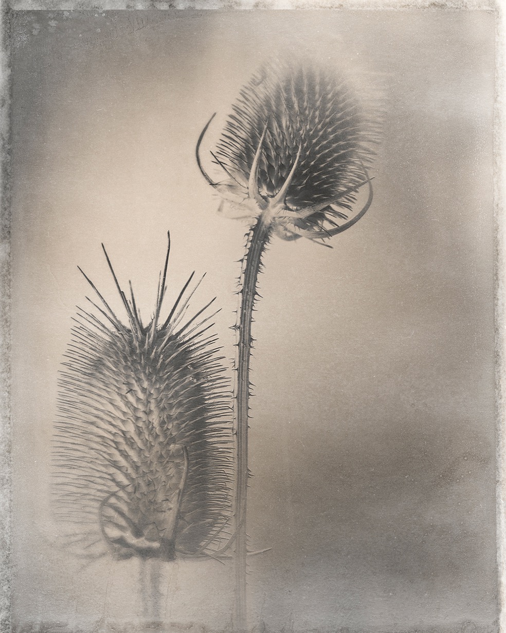 Duo-Chromatics © Pete Hollow