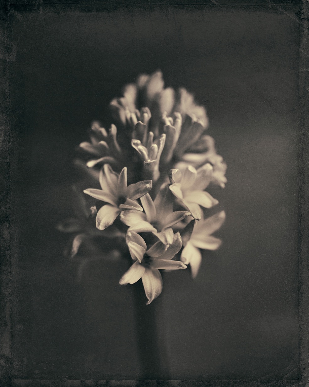 Duo-Chromatics © Pete Hollow