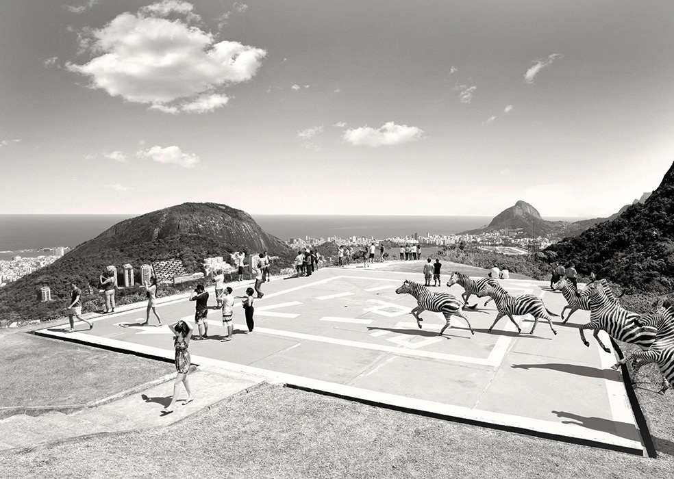 Lost Animals © Tom Nagy