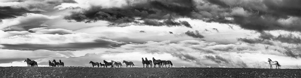 © Eliseo Miciu