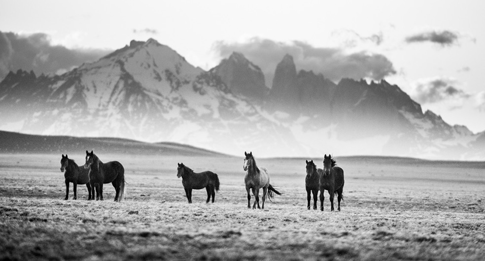 © Eliseo Miciu
