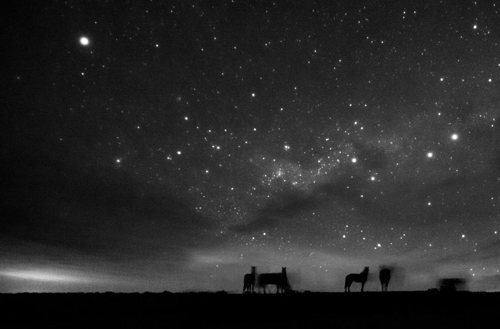 © Eliseo Miciu