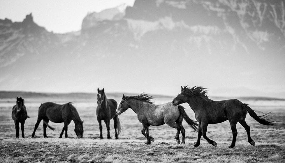 © Eliseo Miciu