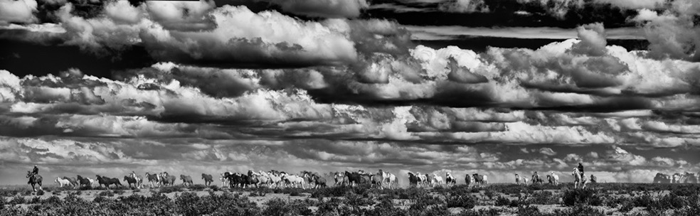 © Eliseo Miciu