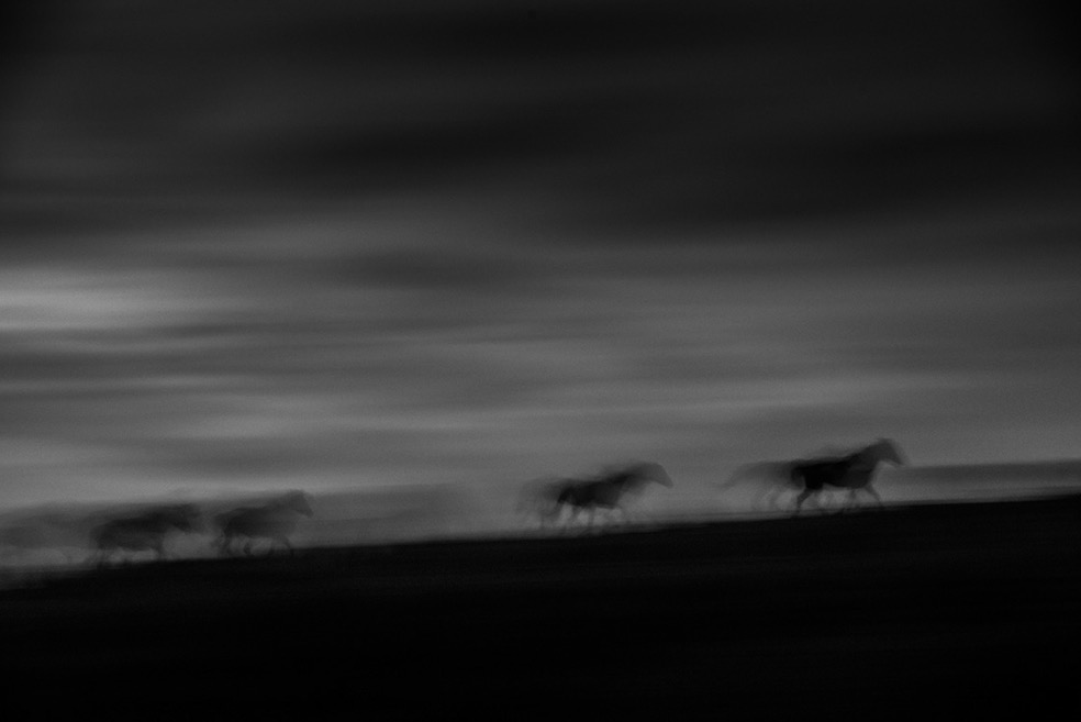 © Eliseo Miciu