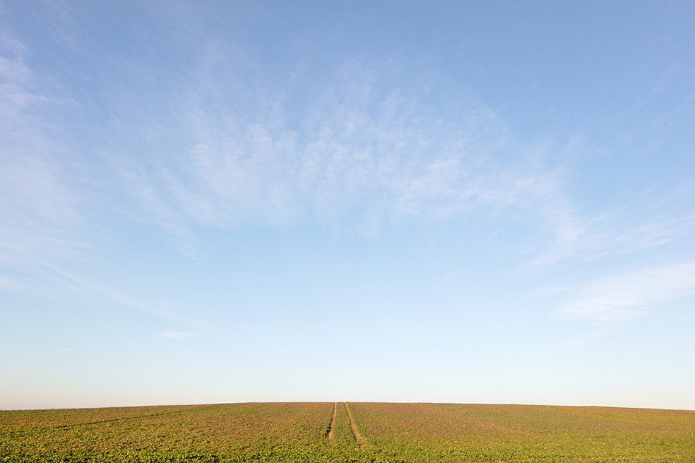 Fields © Bernd Walz