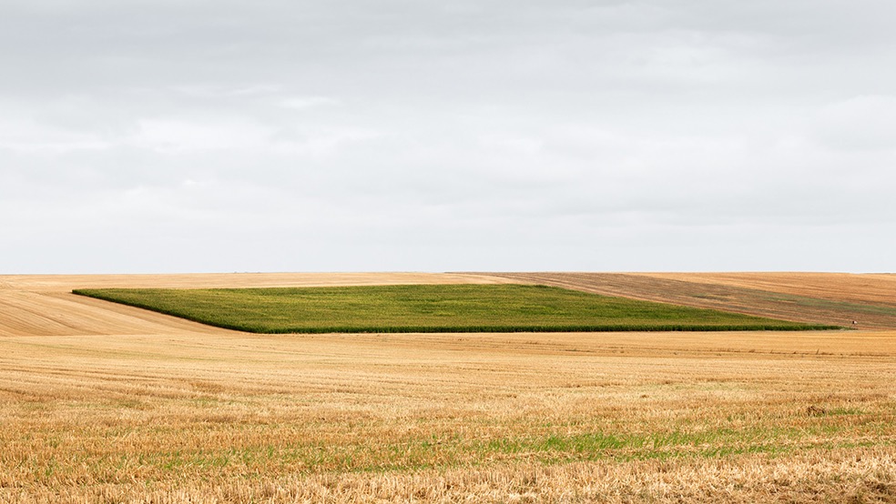 Fields © Bernd Walz