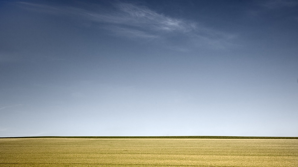 Fields © Bernd Walz