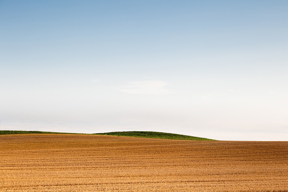Fields © Bernd Walz