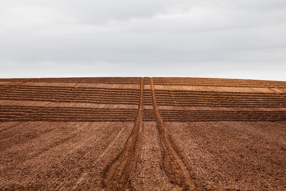 Fields © Bernd Walz