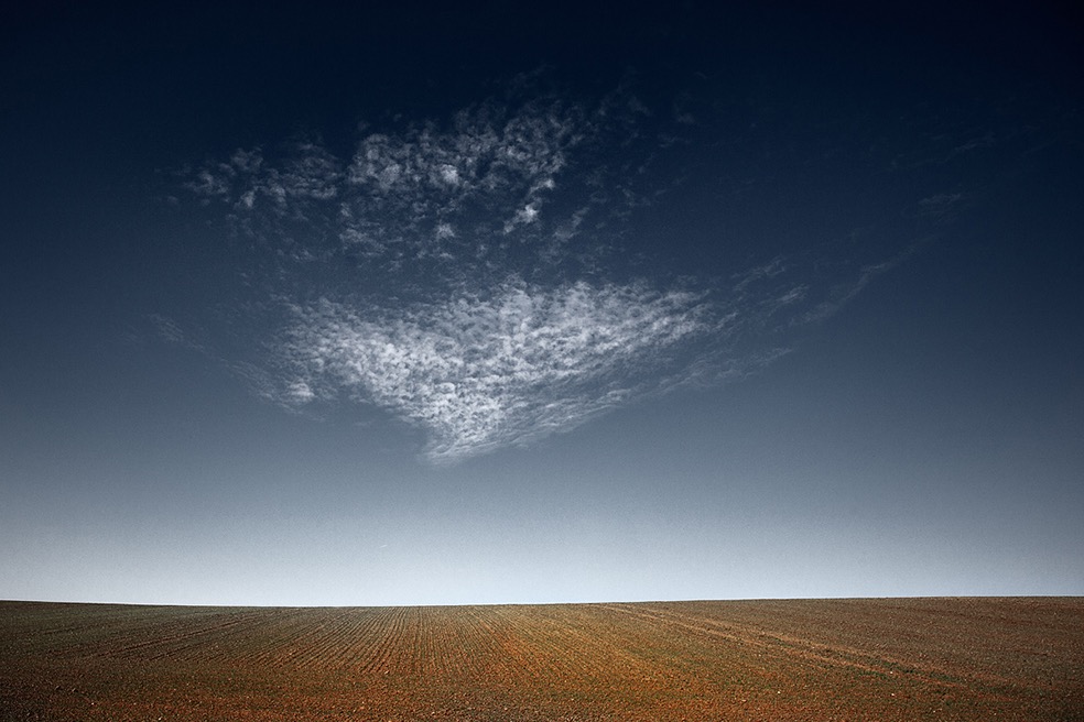 Fields © Bernd Walz
