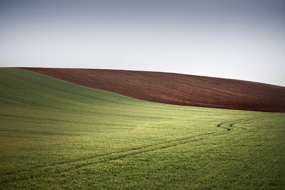 Fields © Bernd Walz