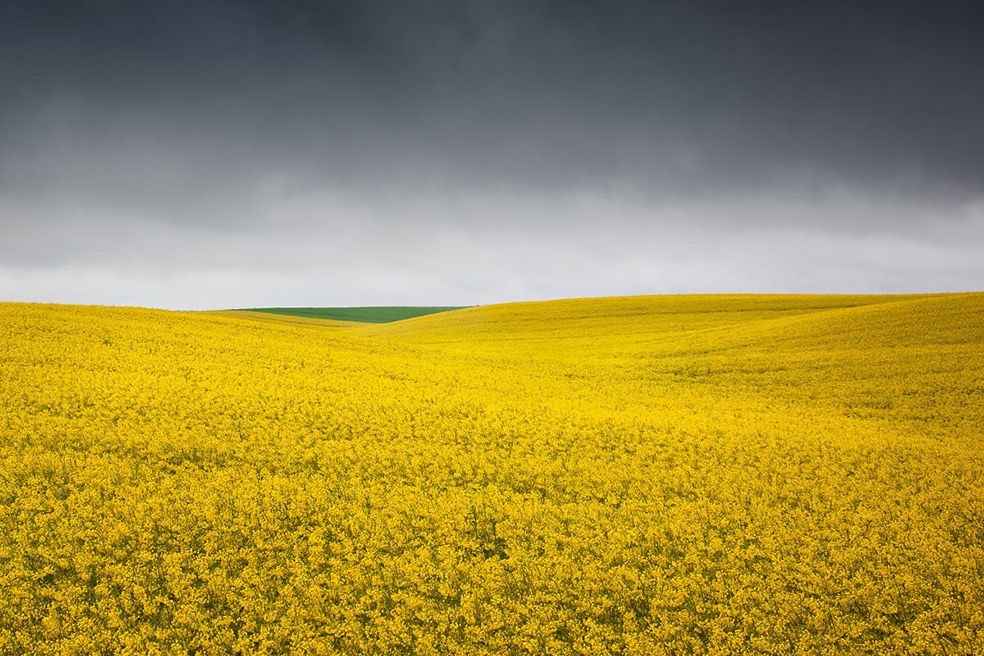 Fields © Bernd Walz