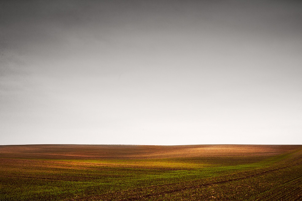 Fields © Bernd Walz