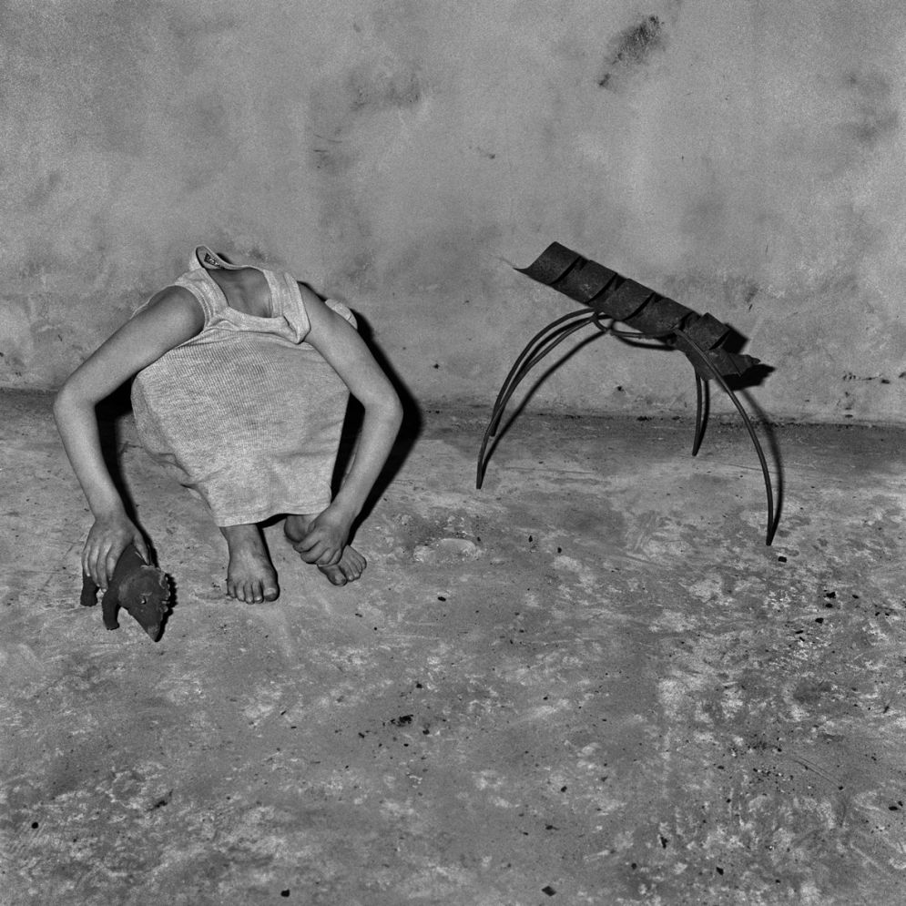 Animal Abstraction © Roger Ballen